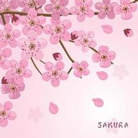 ilustração de flores de sakura vetor