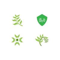 logotipos da ecologia de folhas verdes vetor