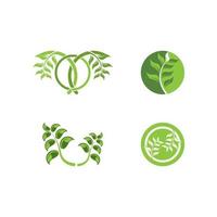 logotipos da ecologia de folhas verdes vetor