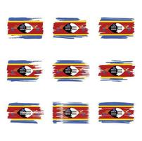 Eswatini flag pinceladas pintadas vetor