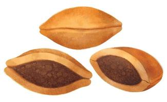 dorayaki feijão vermelho panqueca confeitaria japonesa ilustrações estilos de aquarela vetor