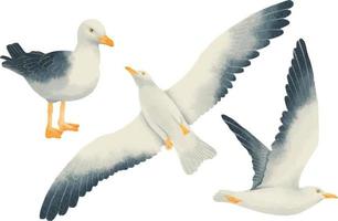 Conjunto de estilos de aquarela pássaros gaivota vetor