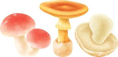 conjunto de ilustração de cogumelo em estilo aquarela vetor