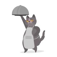 gato engraçado segura um prato de metal com tampa. um gato com um olhar engraçado. bom para adesivos, cartões e camisetas. isolado. vetor. vetor