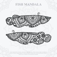 mandala de peixe. elementos do estilo boho. animais estilo boho desenhado. ilustração vetorial. vetor