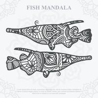 mandala de peixe. elementos do estilo boho. animais estilo boho desenhado. ilustração vetorial. vetor