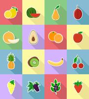 frutas plano conjunto de ícones com a ilustração do vetor de sombra