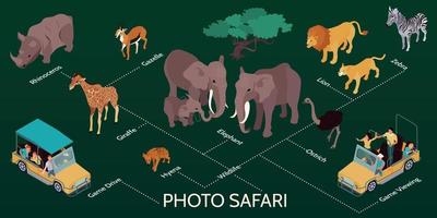 infográficos isométricos de safári fotográfico vetor