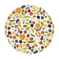 logotipo do círculo com legumes. ilustração de tomate, abóbora, berinjela. conjunto de ingrediente orgânico isolado vetor