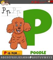 letra p do alfabeto com personagem de desenho animado de cão poodle vetor