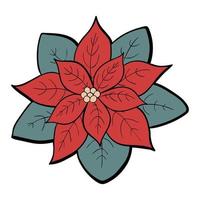 Poinsétia fofo ilustração do Natal do vetor isolada no fundo branco. doodle de flor de inverno