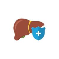 fígado humano sob proteção. escudo azul e fígado saudável no estilo cartoon. ilustração vetorial vetor