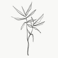 folhas botânicas linha arte. linha de plantas modernas ou mínimas abstratas. perfeito para decoração de casa, como pôsteres. desenho de ilustrações vetoriais vetor