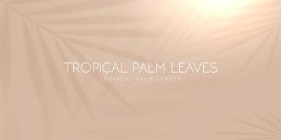 sombra de folha de palmeira tropical em fundo pastel claro. ilustração vetorial.