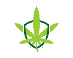 folha de cannabis dentro da proteção do escudo vetor