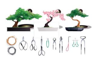 conjunto de cultivo de bonsai vetor