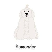 cão bonito da raça komondor ou pastor húngaro, isolado no fundo branco. ilustração vetorial desenhada à mão vetor