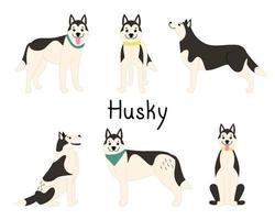 conjunto de cães brincalhões da raça husky siberiano. ilustração plana do vetor