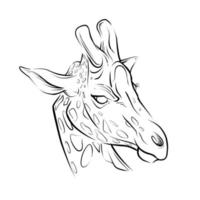 girafa cabeça mão ilustrações desenhadas vetor