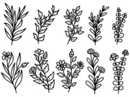 conjunto de folhas botânicas com flor de arte de linha desenhada à mão vetor