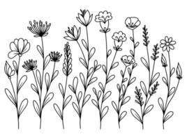 conjunto de folhas botânicas com flor de arte de linha desenhada à mão vetor