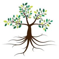 ilustração vetorial árvore com raízes, fundo de floresta de árvore verde, conceito de natureza. vetor