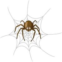 desenho de aranha em teia de aranha isolada no fundo branco vetor