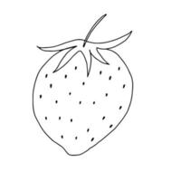 morango com uma ilustração de folha de doodle. Desenho de contorno de um pêssego isolado em um fundo branco. Fruta tropical. Desenho de mão com uma ilustração de linha. vetor