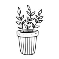planta de casa bonita em vaso de flores isolado no fundo branco. ilustração vetorial desenhada à mão em estilo doodle. perfeito para cartões, decorações, logotipo. vetor
