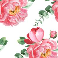 A peônia floresce a matéria têxtil botânica floral sem emenda do vintage da aquarela do teste padrão do watercolo, ilustração do vetor do cartão do convite da decoração do projeto da flor do aquarelle.