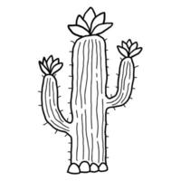 bonito dos desenhos animados doodle cacto linear com flores no deserto, isolado no fundo branco. vetor