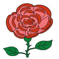 cartoon doodle linear rosa, flor isolada no fundo branco. esboço de flor peônia. vetor
