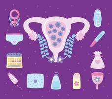doze itens do período menstrual vetor