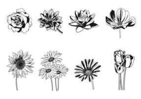 Pacote de vetores florais em preto e branco