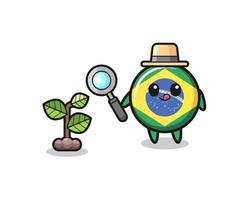 fitoterapeuta da bandeira do brasil pesquisando plantas