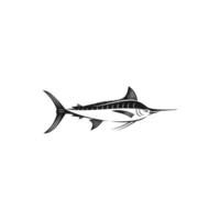 ilustração de peixe marlin isolada no fundo branco vetor