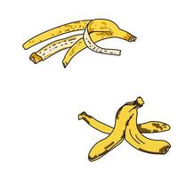 conjunto de duas cascas de banana fofas, ilustração de desenho de mão vectro, cascas amarelas com contorno preto vetor