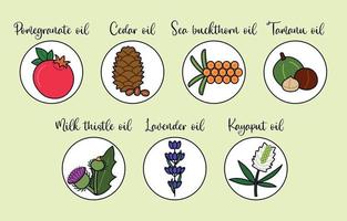 conjunto de ícones de linha de óleo de noz, semente e flover. coleção de ingredientes coloridos para óleo vegetal. tamanu, kayaput, cedro, lavanda, cardo mariano, espinheiro marinho, romã. ilustração vetorial plana vetor