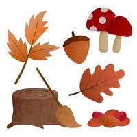 coleção de outono de elementos decorativos da temporada em fundo branco vetor