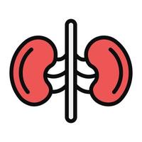 ícone de órgão do sistema renal humano em design plano, ícone de rins vetor
