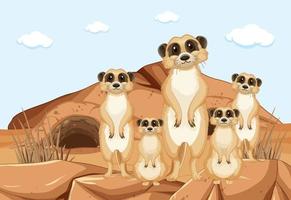 grupo de meerkats fofos animais da África Austral vetor