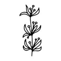 mão de flor desenhando a linha contorno desenhando imagem em preto e branco estilo doodle floral e herbal para buquês, decorações vetor