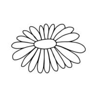 flor da margarida no estilo doodle imagem em preto e branco isolada em um fundo branco desenho de contorno ilustração vetorial vetor