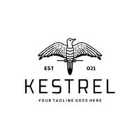 design de logotipo moderno exclusivo de pássaros kestrel com estilo de arte de linha vetor