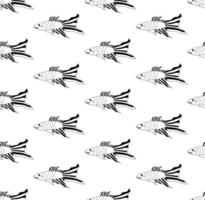peixe-lutador-siamês em fundo branco vetor