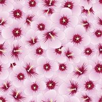 hibiscus syriacus - rosa de fundo transparente de sharon. vetor