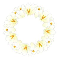 coroa de flores de açafrão branco vetor