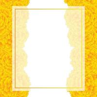 borda de cartão de bandeira de calêndula amarelo vetor