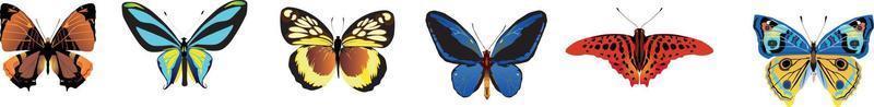 conjunto de borboletas diferentes. ilustração vetorial