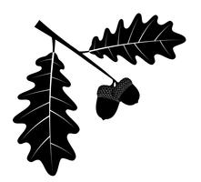 bolotas de carvalho com folhas ilustração em vetor silhueta contorno preto